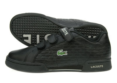 Lacoste Tribute