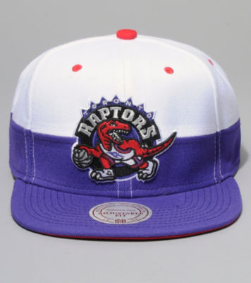 Mitchell & Ness Toronto Raptors Split Snapback Cap