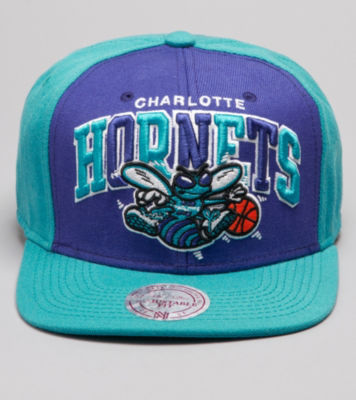Pinwheel Charlotte Hornets NBA Snapback Cap Teal/Purple