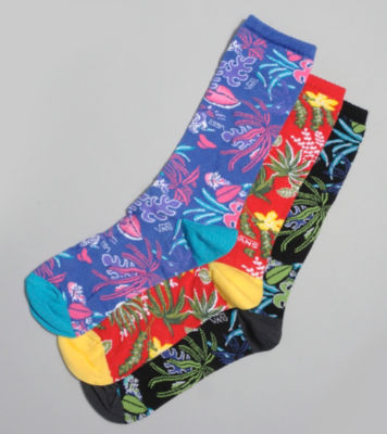Vans Broloha Socks - 3 Pack