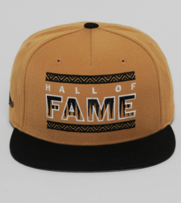 Hall of Fame Boarders Snapback Cap