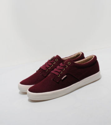 Pointer A.F.D Wool