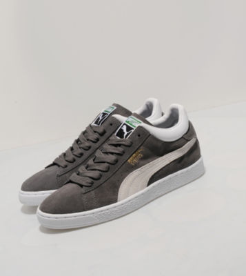 Puma Stepper