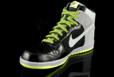 Dunk Hi Premium Thumbnail