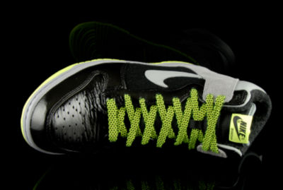 Dunk Hi Premium Thumbnail