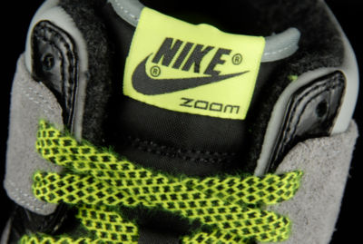 Dunk Hi Premium Thumbnail