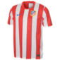 Buy Nike Atletico Madrid Home Kit 11/12