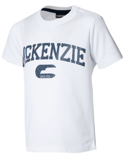 Puma Tottenham Hotspur Training T-Shirt